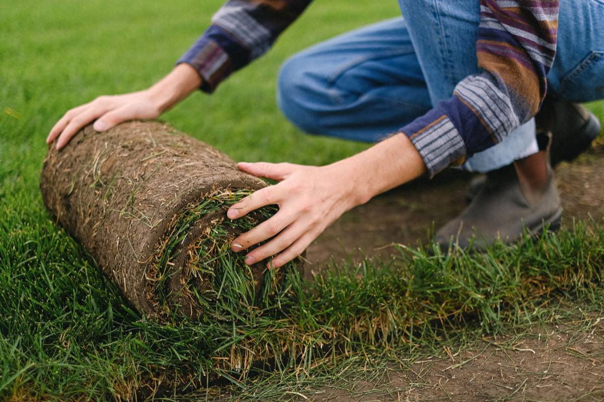 sod installation project in El Paso, TX — 3